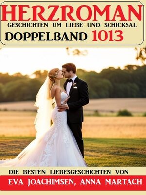 cover image of Herzroman Doppelband 1013